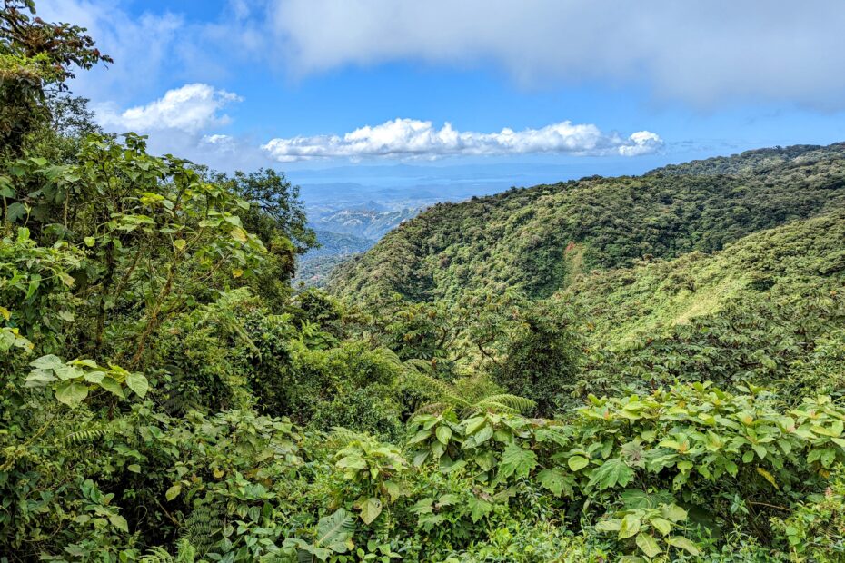 2 days in Monteverde, Costa Rica (From SJO airport)