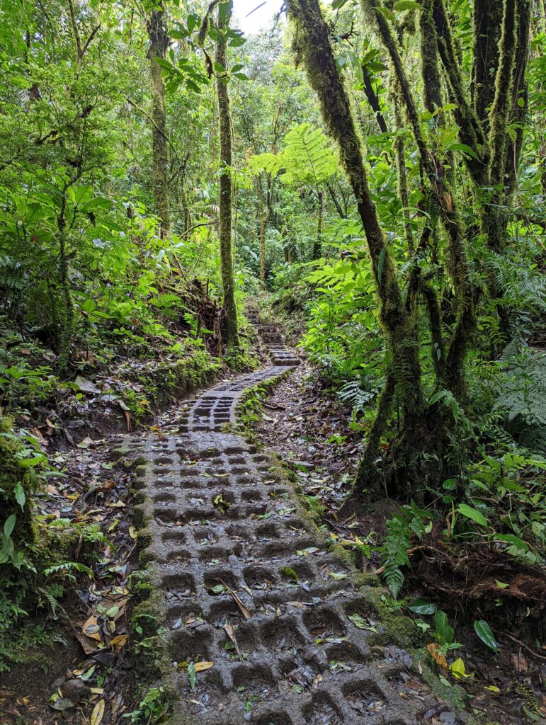 2 days in Monteverde - Monteverde Cloud Forest Reserve